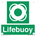lifebuoy-with-symbol~
